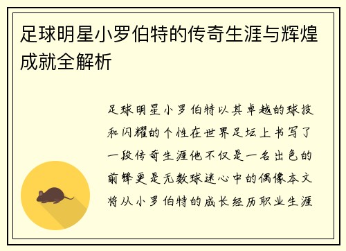 足球明星小罗伯特的传奇生涯与辉煌成就全解析